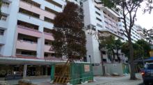 Blk 109 Bukit Purmei Road (Bukit Merah), HDB 3 Rooms #256932